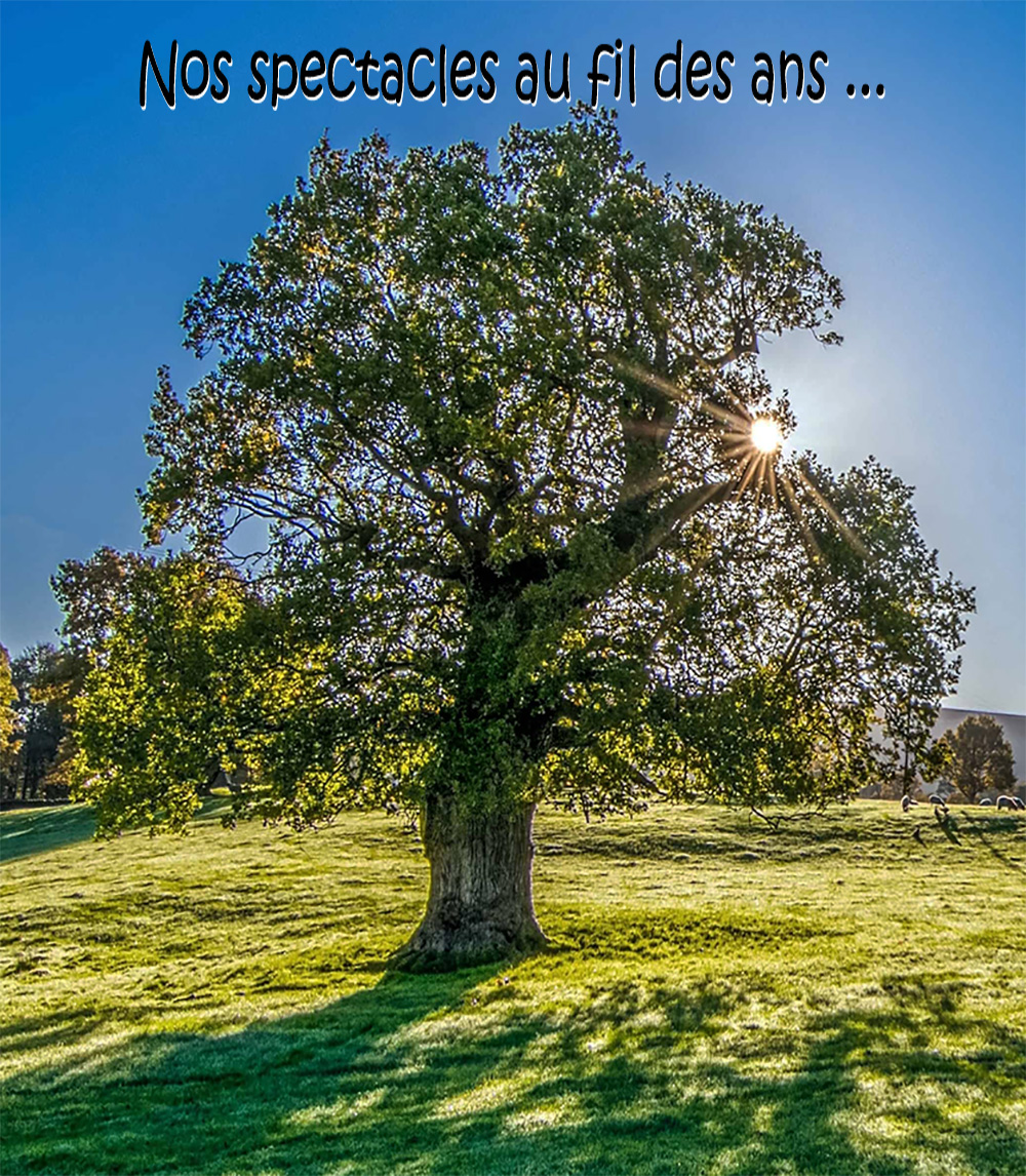 Arbre Historique