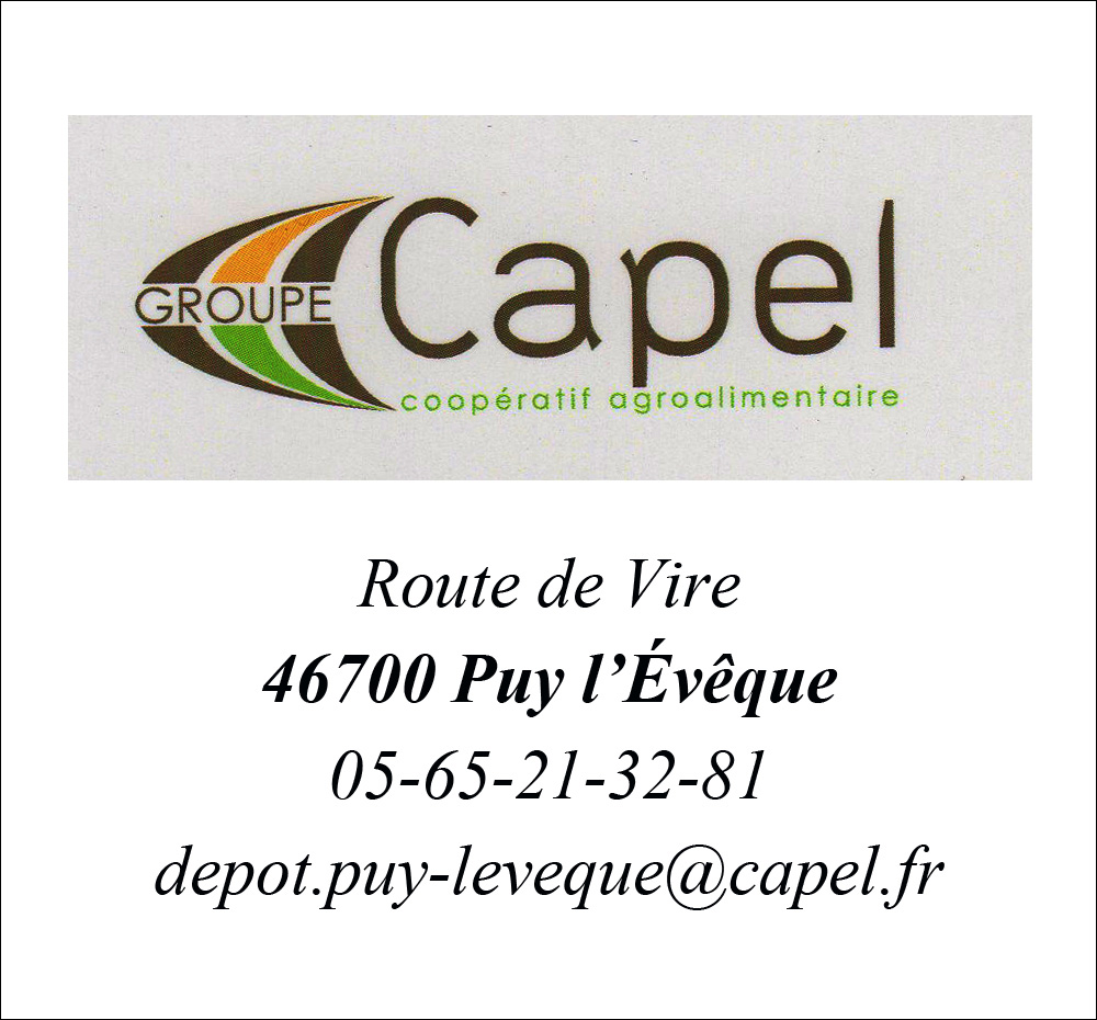 Capel